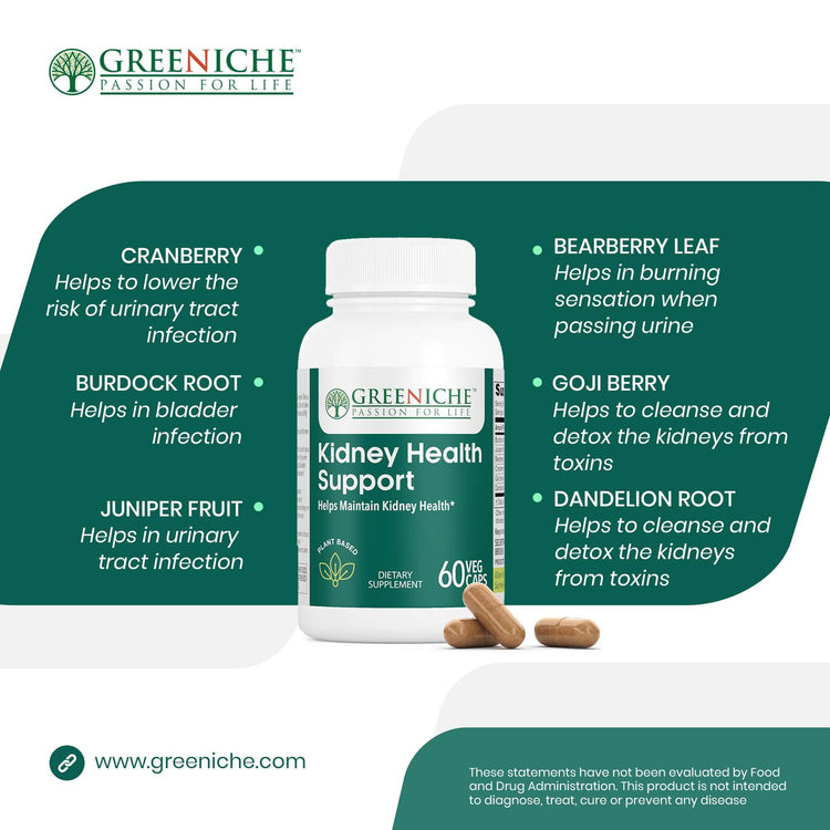 Kidney Support – Herbal Kidney Health & Urinary Support Formula with key ingredients and benefits