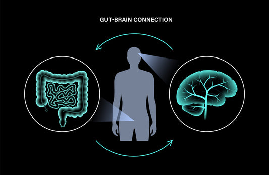 Gut-Brain Connection: A Key To Improving Your Mental Health